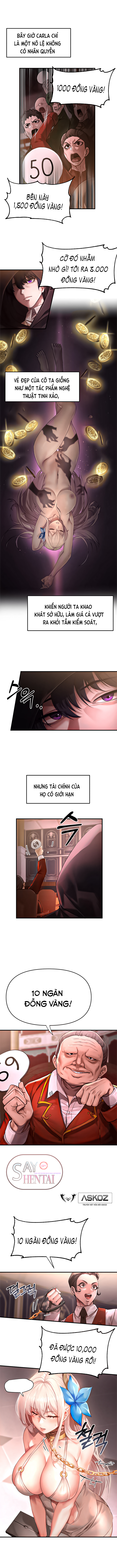 Thiếu Nữ Sa Ngã
